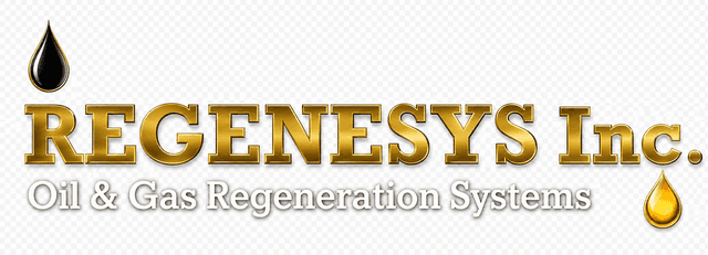 Regenesys Inc.